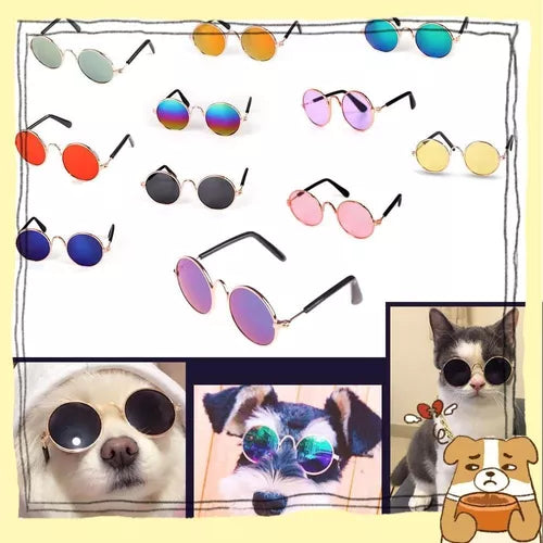 Gafas de sol para mascotas Perros y gato 🐶🐱