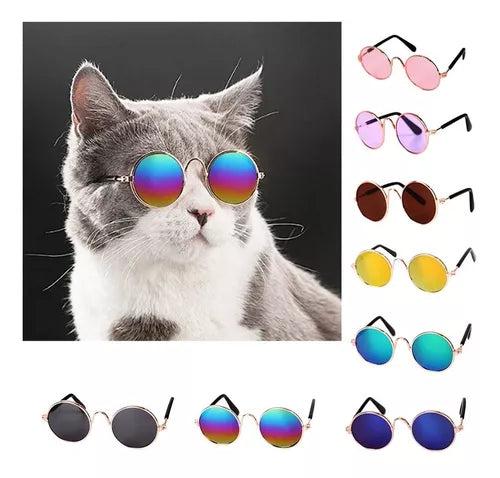 Gafas de sol para mascotas Perros y gato 🐶🐱