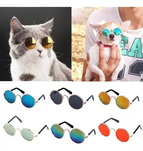 Gafas de sol para mascotas Perros y gato 🐶🐱