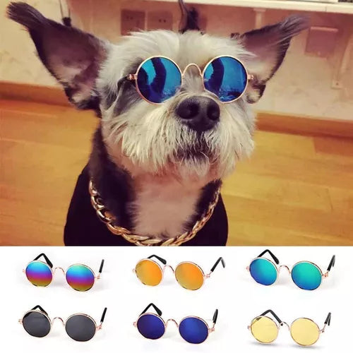 Gafas de sol para mascotas Perros y gato 🐶🐱